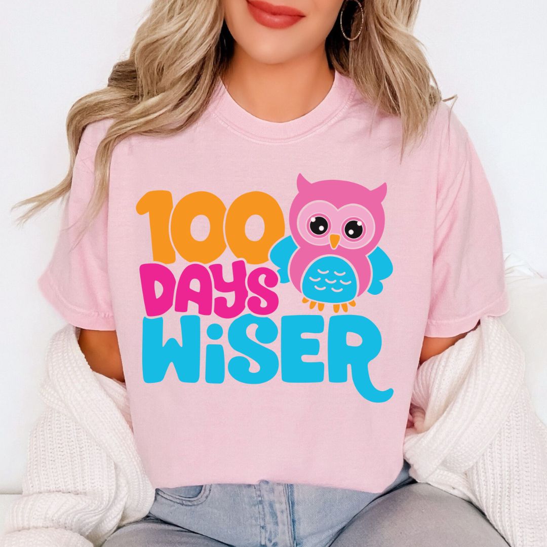 100 Days Wiser