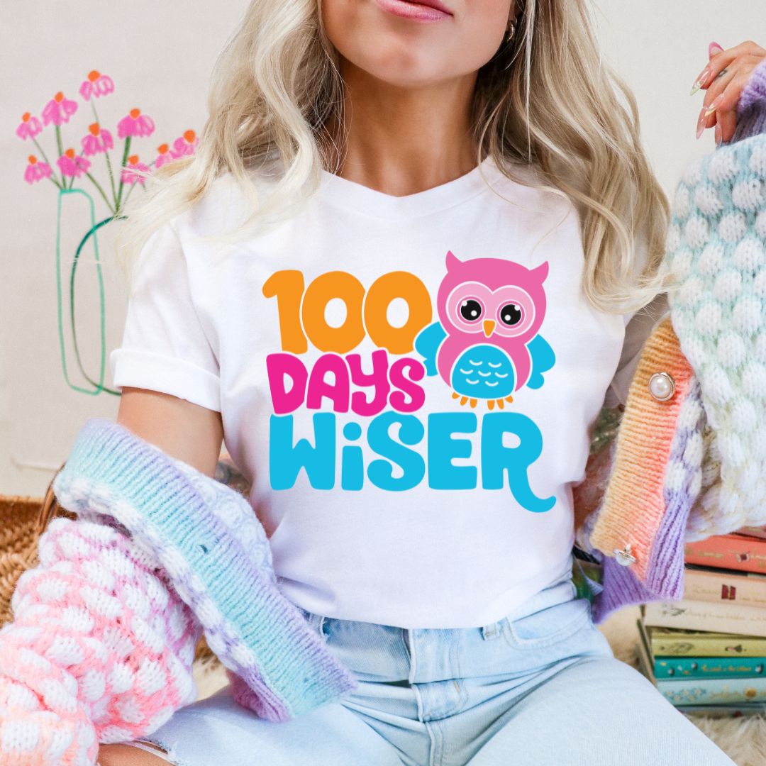 100 Days Wiser