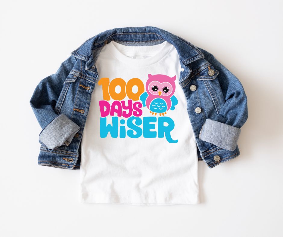 100 Days Wiser