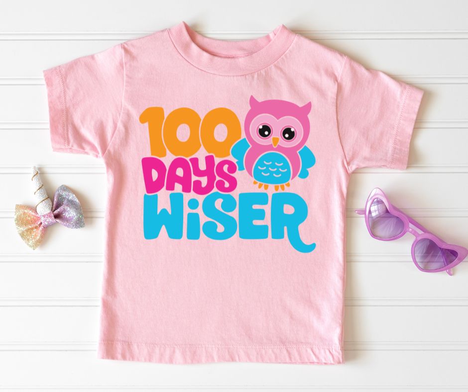 100 Days Wiser