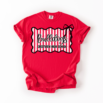 Framed School Shirts Youth + Adults